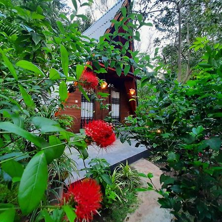 The Otunna Guest House Szigirija Kültér fotó